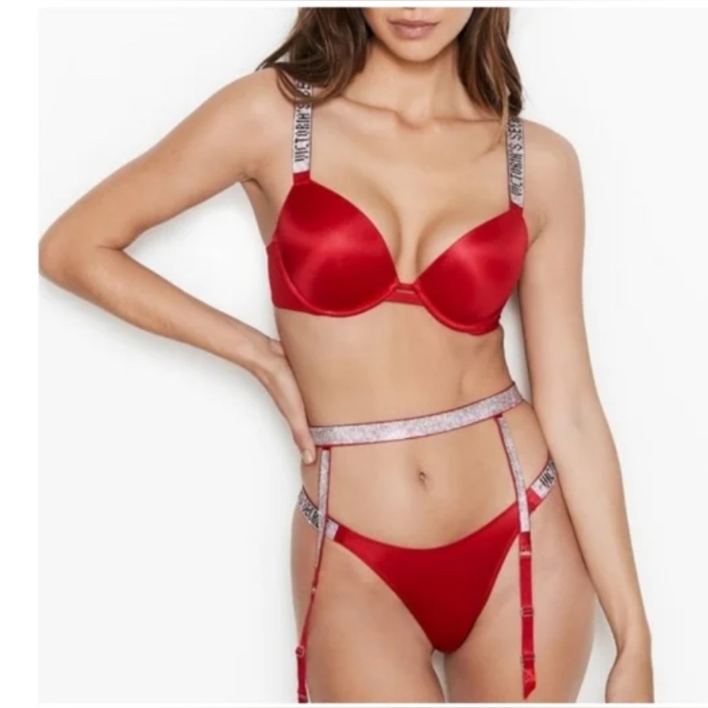 NWT VS Garter Suspenders